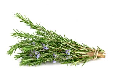 Romarin Entier 1 Kg
