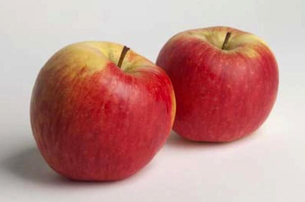 2 Pommes Rouges Heroine Market | Produit Pomme rouge (1 pièce) :: e-boutique Fruits et ...